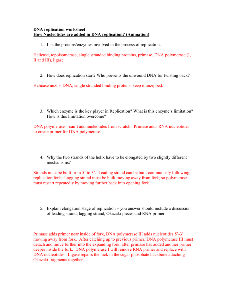 Dna Replication Worksheet â Watch The Animations And Answer